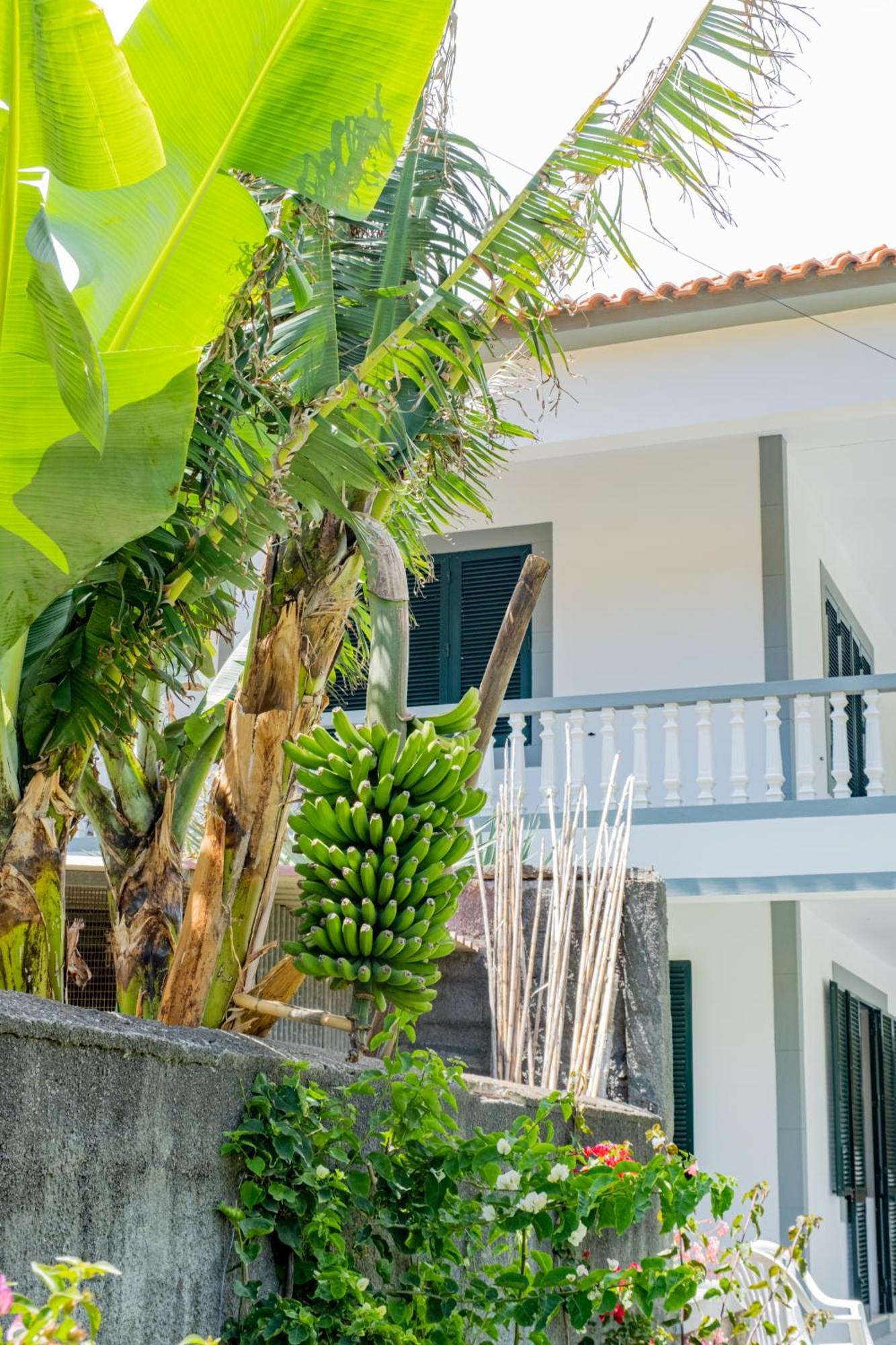 Sao Vicente Guest House Bagian luar foto
